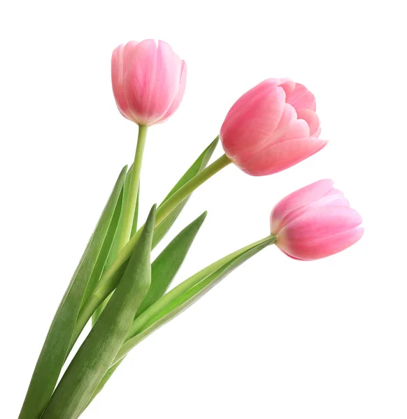 Rosa Tulpen Isoliert Auf Weißem Hintergrund — Stockfoto