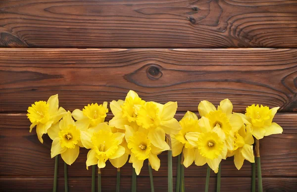 Jonquilles Jaunes Sur Fond Bois — Photo