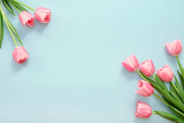 Różowe Tulipany Niebieskim Tle — Zdjęcie stockowe
