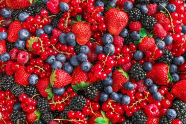 Karışık yabani böğürtlen arka planı. Üst görünüm.