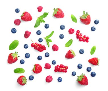 Beyaz arka planda izole edilmiş çeşitli yabani böğürtlenler. Üst görünüm.