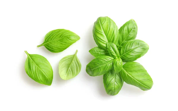 Fresh Basil Leaves Isolated White Background Top View — Stock Photo, Image