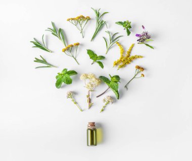 Beyaz arka planda izole edilmiş organik aroma yağının içeriğinin üst görüntüsü. Üst Manzara. Bitkisel tıp konsepti.
