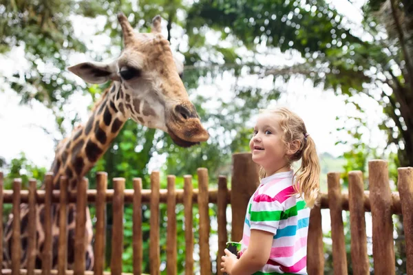 Familie Füttert Giraffe Zoo Kinder Füttern Giraffen Tropischen Safaripark Während — Stockfoto