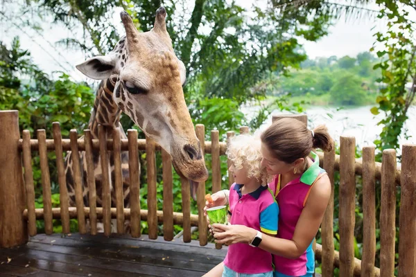 Rodina Krmení Žirafy Zoo Děti Krmení Žiraf Tropických Safari Parku — Stock fotografie