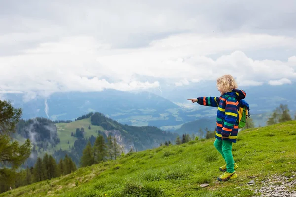 アルプスの山々で子供たちのハイキング 子供たちはオーストリアの雪に覆われた山を見てください 春休み 高山草原に咲くハイキングコースの上の小さな男の子 アウトドアの楽しさと健康的な活動 — ストック写真