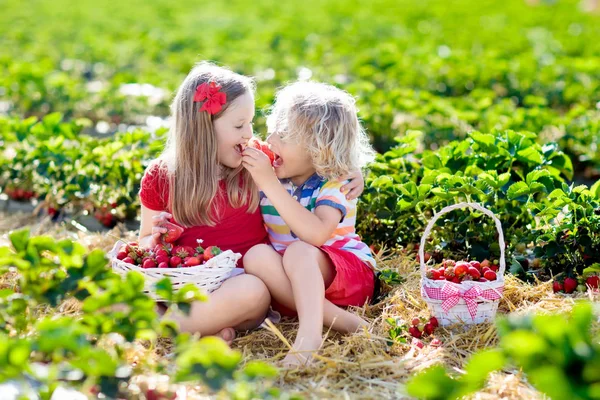 Crianças Pegando Morango Campo Fazenda Frutas Dia Ensolarado Verão Crianças — Fotografia de Stock