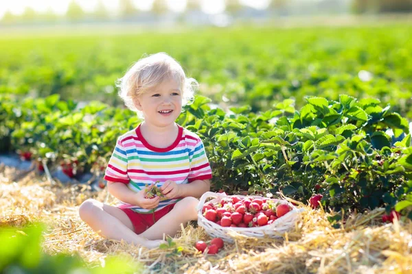 Aardbei Plukken Fruitboerderij Zonnige Zomerdag Kinderen Plukken Verse Rijpe Biologische — Stockfoto