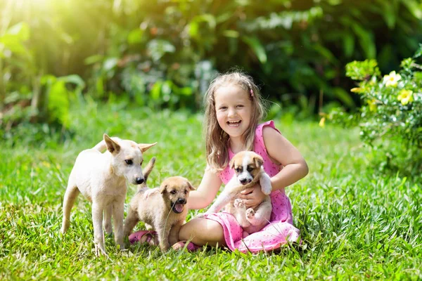 Barnen Leka Med Söt Liten Valp Barn Och Baby Hundar — Stockfoto