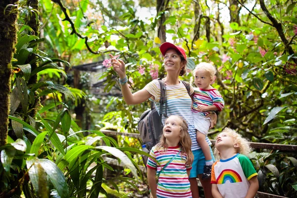 Familie Wandelen Jungle Moeder Kinderen Een Wandeling Het Tropisch Regenwoud — Stockfoto