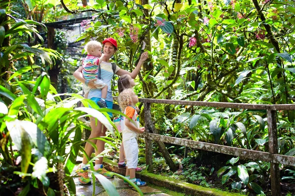 家庭徒步旅行在丛林中 母亲和孩子们在热带雨林远足 妈妈和孩子们在异国情调的森林里散步 和孩子一起旅行 婆罗洲丛林和山脉 男孩和女孩探索自然在亚洲 — 图库照片