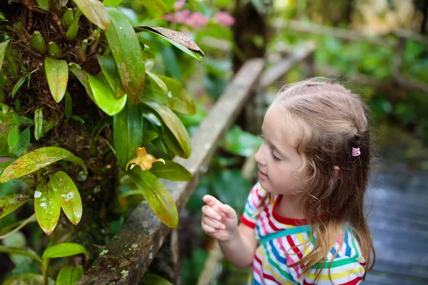 Dziewczynka Dżungli Dziecko Ogląda Wild Orchid Tropikalnych Lasów Deszczowych Dzieciak — Zdjęcie stockowe