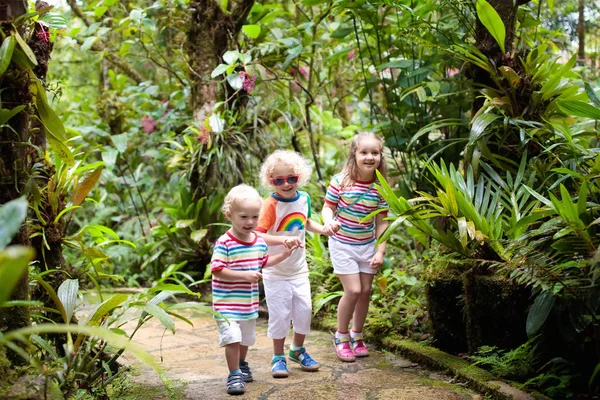 Senderismo Familiar Selva Niños Una Caminata Selva Tropical Los Niños — Foto de Stock