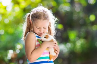 Child playing with guinea pig. Kids feed cavy animals. Little girl holding and feeding domestic animal. Children take care of pets. Preschooler kid petting hamster. Pet rodents. Trip to zoo or farm. clipart