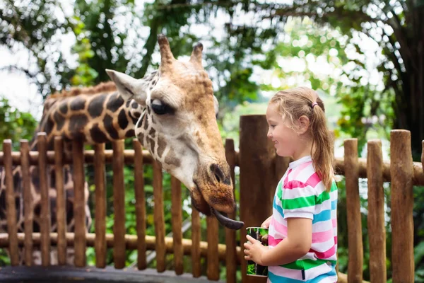 Rodina Krmení Žirafy Zoo Děti Krmení Žiraf Tropických Safari Parku — Stock fotografie