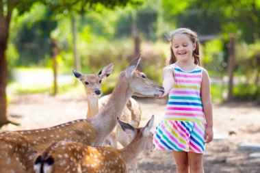 Çocuk sevişme hayvanat bahçesinde vahşi geyik besleme. Çocuklar açık safari parkında hayvan besleme. Küçük kız bir çiftlikte Ren geyiği izliyor. Çocuk ve evde beslenen hayvan hayvan. Hayvanat Bahçesi aile yaz gezisi. Geyikler sürüsü.