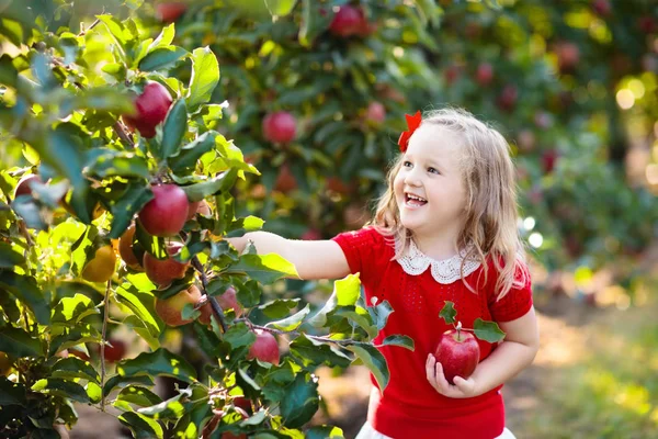 Niño Recogiendo Manzanas Una Granja Otoño Niña Jugando Huerto Manzanos —  Fotos de Stock