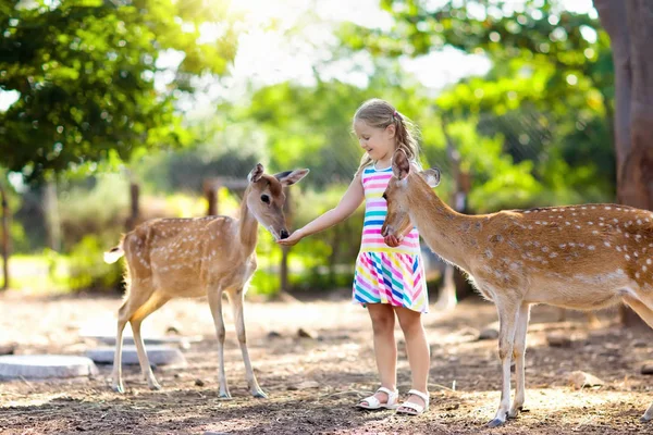ふれあい動物園で野生の鹿を餌の子 子供は 屋外のサファリパークで動物を養います ファーム上のトナカイを見ている小さな女の子 子供やペットの動物 動物園に家族の夏の旅行 鹿の群れ — ストック写真