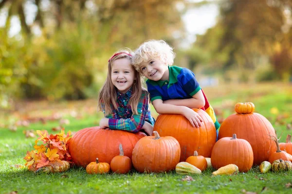 Små Barn Som Njuter Skördefestivalsfirandet Pumpapajen Barn Plockar Och Snidar — Stockfoto