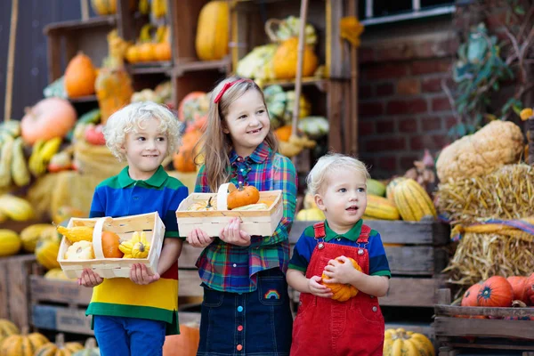 Små Barn Som Njuter Skördefestivalsfirandet Pumpapajen Barn Plockar Och Snidar — Stockfoto