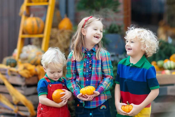 Bir grup çocuk balkabağı tarlasında hasat festivalinin tadını çıkarıyor. Çocuklar sıcak bir sonbahar gününde kır çiftliğinde balkabağı toplayıp oyuyorlar. Cadılar Bayramı ve Şükran Günü aile için eğlence.