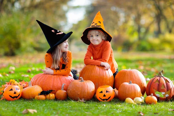 Kinder Schwarz Orangefarbenem Hexenkostüm Und Hut Spielen Halloween Herbstpark Mit — Stockfoto