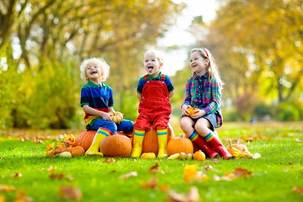 Group Little Children Enjoying Harvest Festival Celebration Pumpkin Patch Kids — Stock Photo, Image
