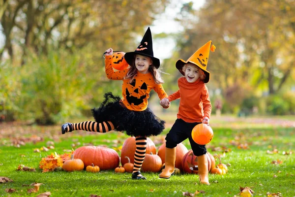 Kinder Schwarz Orangefarbenem Hexenkostüm Und Hut Spielen Halloween Herbstpark Mit — Stockfoto