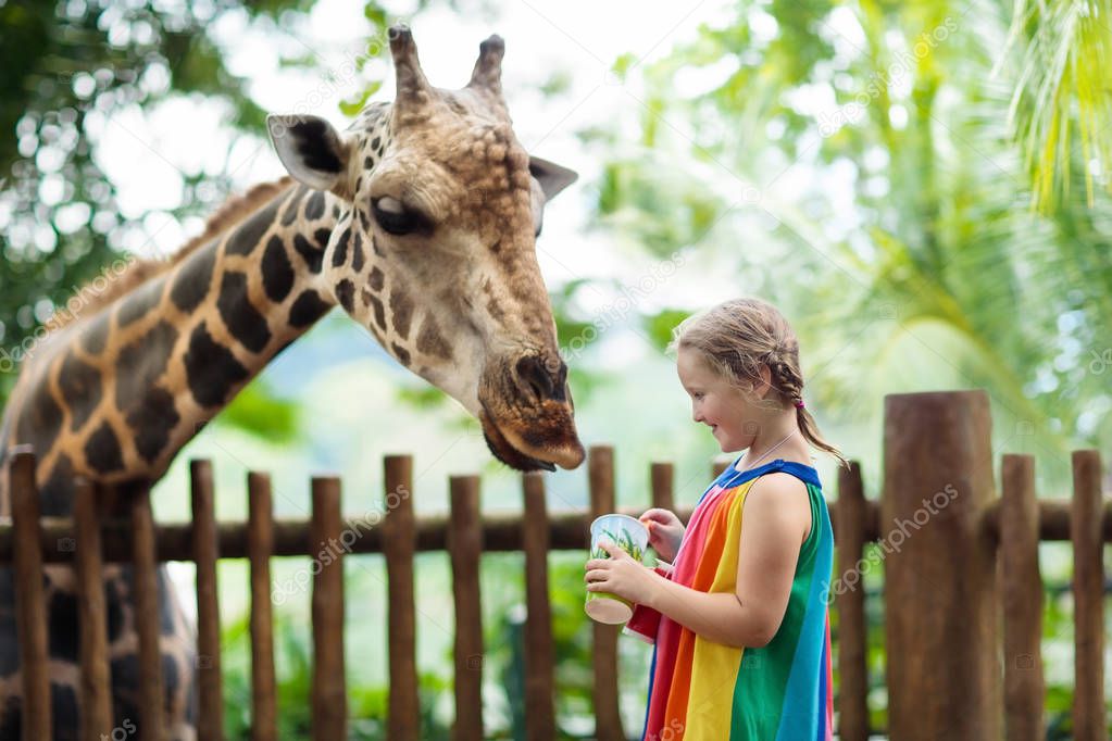 Family feeding giraffe in zoo. Children feed giraffes in tropical safari park during summer vacation in Singapore. Kids watch animals. Little girl giving fruit to wild animal.