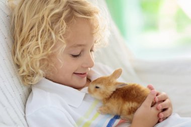 Beyaz tavşan ile oynayan çocuk. Besleme ve beyaz tavşan sevişme küçük çocuk. Paskalya kutlamaları. Çocuk ve evde beslenen hayvan hayvan yumurta avla. Çocuklar ve hayvanlar. Çocuklar hayvan, kendine iyi bak. Bahar Easter Bahçe.