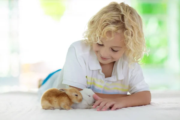 孩子玩白兔子 小男孩喂养和爱抚白兔子 复活节庆典 与孩子和宠物动物狩猎 儿童和动物 孩子们照顾宠物 春天复活节花园 — 图库照片