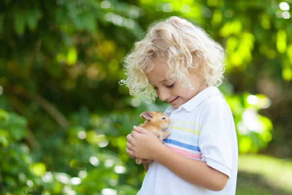 Enfant Jouant Avec Lapin Blanc Petit Garçon Nourrissant Caressant Lapin — Photo