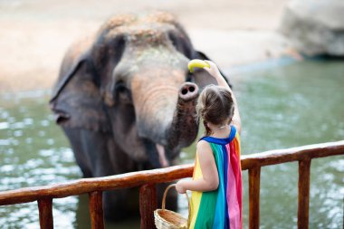Aile fil hayvanat bahçesinde. Çocuk Asya filler tropikal safari parkında Singapur'da yaz tatili besleme. Çocuklara göz kulak hayvanlar. Vahşi hayvan için meyve veren küçük kız.