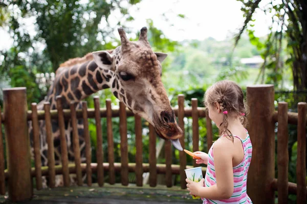 Familie Füttert Giraffe Zoo Kinder Füttern Den Sommerferien Giraffen Tropischen — Stockfoto