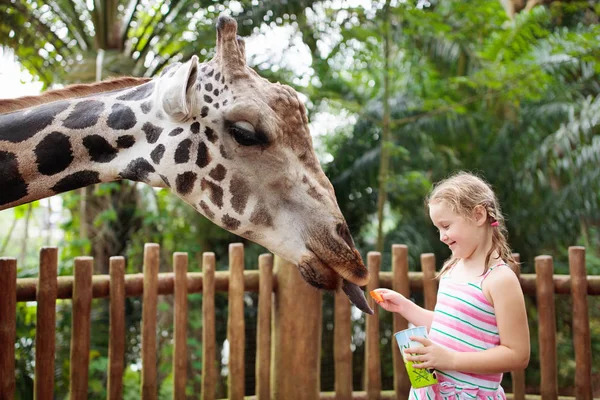 Family Feeding Giraffe Zoo Children Feed Giraffes Tropical Safari Park — Stock Photo, Image