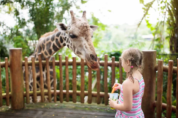 Famille Nourrissant Girafe Dans Zoo Les Enfants Nourrissent Les Girafes — Photo