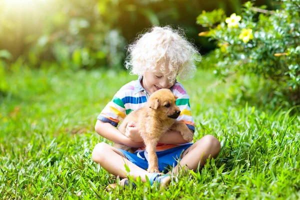 Діти Грають Милим Маленьким Цуценям Діти Дитячі Собаки Грають Сонячному — стокове фото