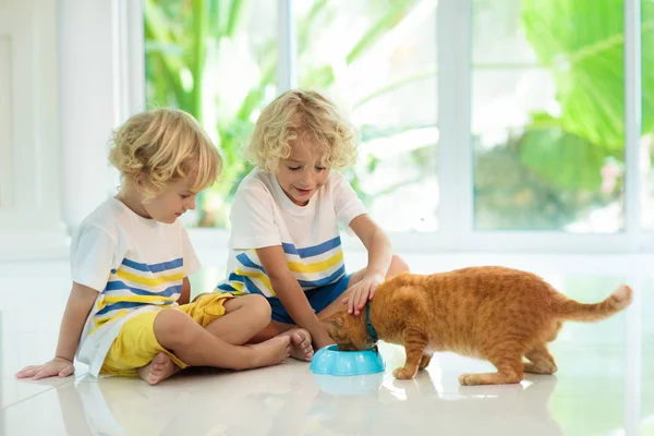 Criança Alimentando Gato Casa Criança Animal Estimação Menino Encaracolado Loiro — Fotografia de Stock