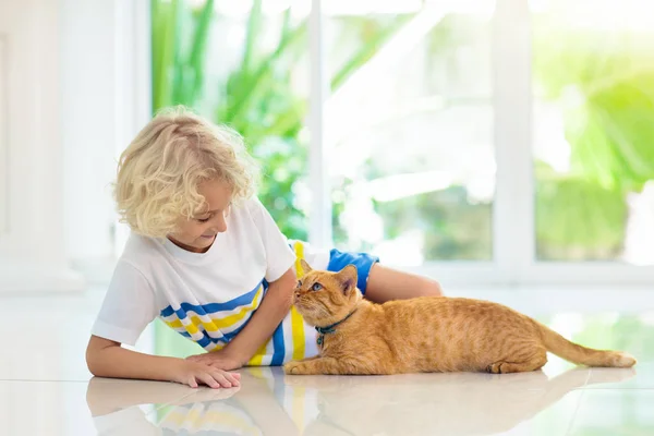 Child Feeding Cat Home Kid Pet Little Blond Curly Boy — Stock Photo, Image