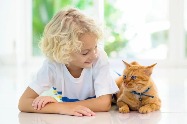 家で子猫を養う 子供とペット 小さなブロンドの巻き男の子が窓の白いキッチンで子猫と遊んでいます 子供のための家畜やペット 猫の食べ物と飲み物 子供の餌猫 — ストック写真