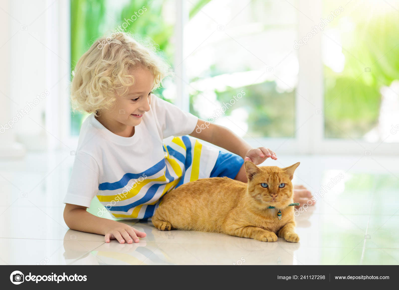Personas alimentando gatos fotos de stock, imágenes de Personas están alimentando gatos sin royalties | Depositphotos