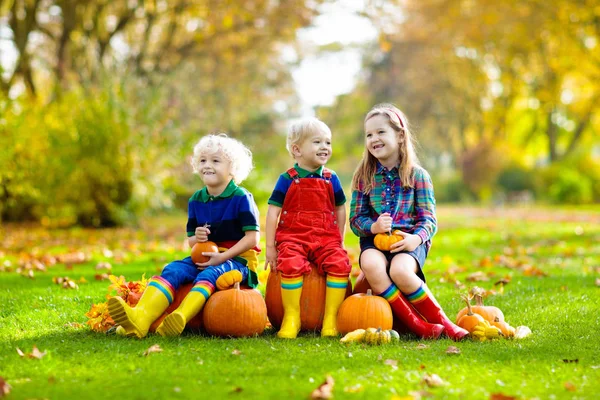 Små Barn Som Njuter Skördefestivalsfirandet Pumpapajen Barn Plockar Och Snidar — Stockfoto