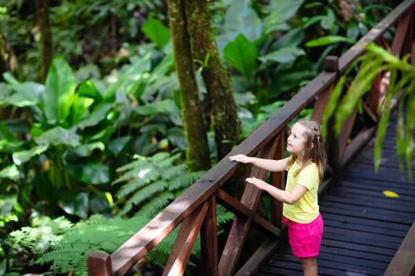 Pequena Menina Caminhando Selva Criança Olhando Para Orquídea Selvagem Floresta — Fotografia de Stock