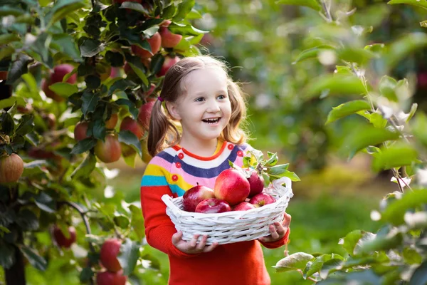 Appels Plukken Een Boerderij Herfst Meisje Speelt Appelboomgaard Kinderen Plukken — Stockfoto