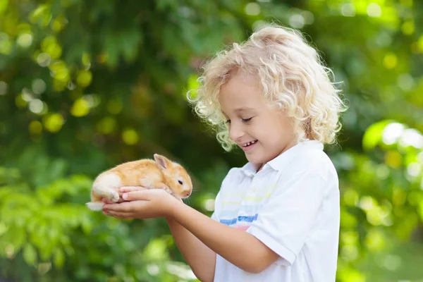 孩子玩白兔子 小男孩喂养和爱抚白兔子 复活节庆典 与孩子和宠物动物狩猎 儿童和动物 孩子们照顾宠物 春天复活节花园 — 图库照片