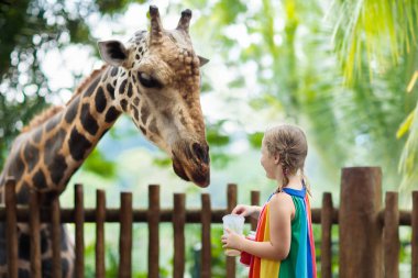 Family feeding giraffe in zoo. Children feed giraffes in tropical safari park during summer vacation in Singapore. Kids watch animals. Little girl giving fruit to wild animal. clipart
