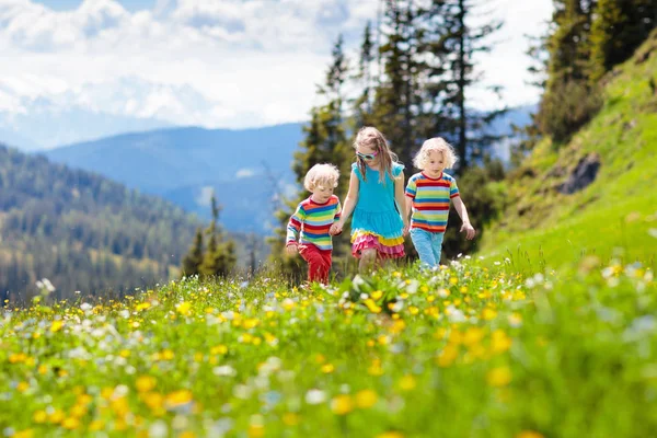 孩子们在阿尔卑斯山中远足 在奥地利 孩子们在覆盖着积雪的山上奔跑 在盛开的高山草甸上 男孩和女孩正在远足 户外运动的乐趣和健康 — 图库照片