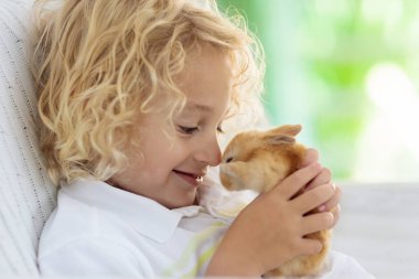 Beyaz tavşan ile oynayan çocuk. Besleme ve beyaz tavşan sevişme küçük çocuk. Paskalya kutlamaları. Çocuk ve evde beslenen hayvan hayvan yumurta avla. Çocuklar ve hayvanlar. Çocuklar hayvan, kendine iyi bak. Bahar Easter Bahçe.