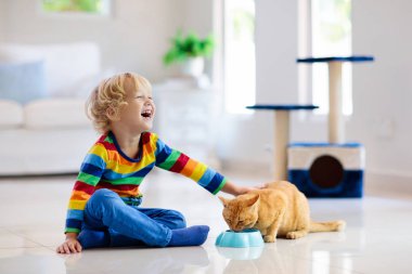 Çocuk evde kediyle oynuyor. Çocuklar ve evcil hayvanlar. Küçük çocuk zencefil renkli kediyi besleyip okşuyor. Oturma odasının içinde kediler ağaç ve kazı kazan var. Çocuklar oynar ve yavru kedileri besler. Ev hayvanları.