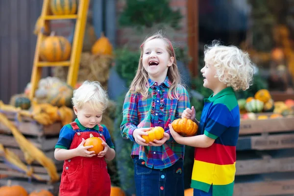 Groupe Petits Enfants Profitant Fête Récolte Patch Citrouille Enfants Cueillant — Photo